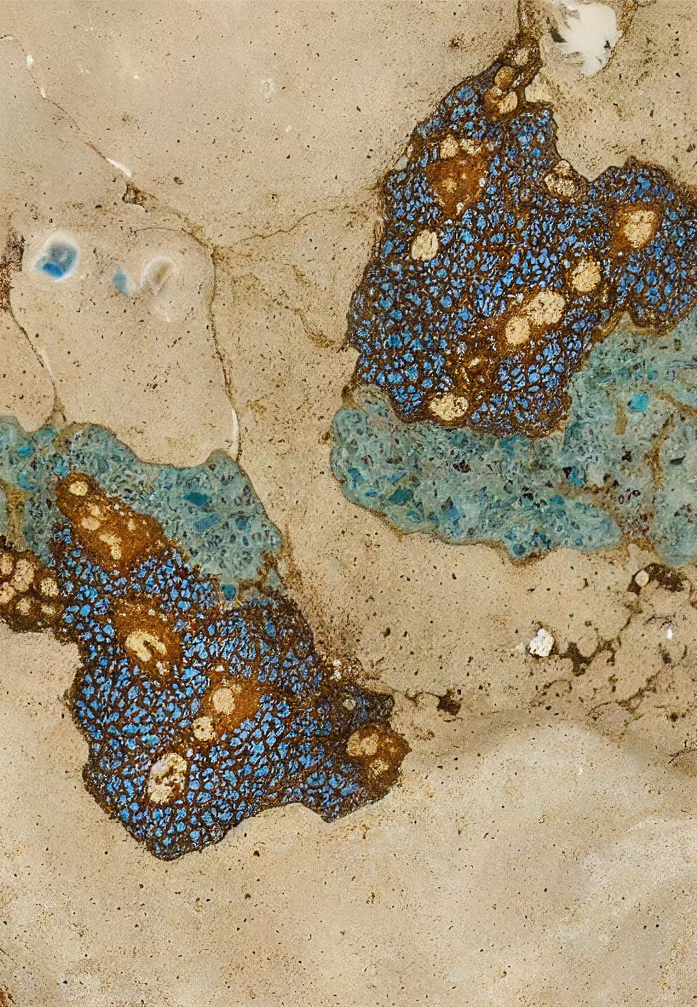 Histologia In Silico #100