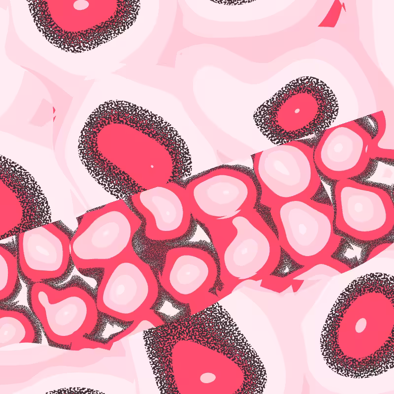 Cellulae #66