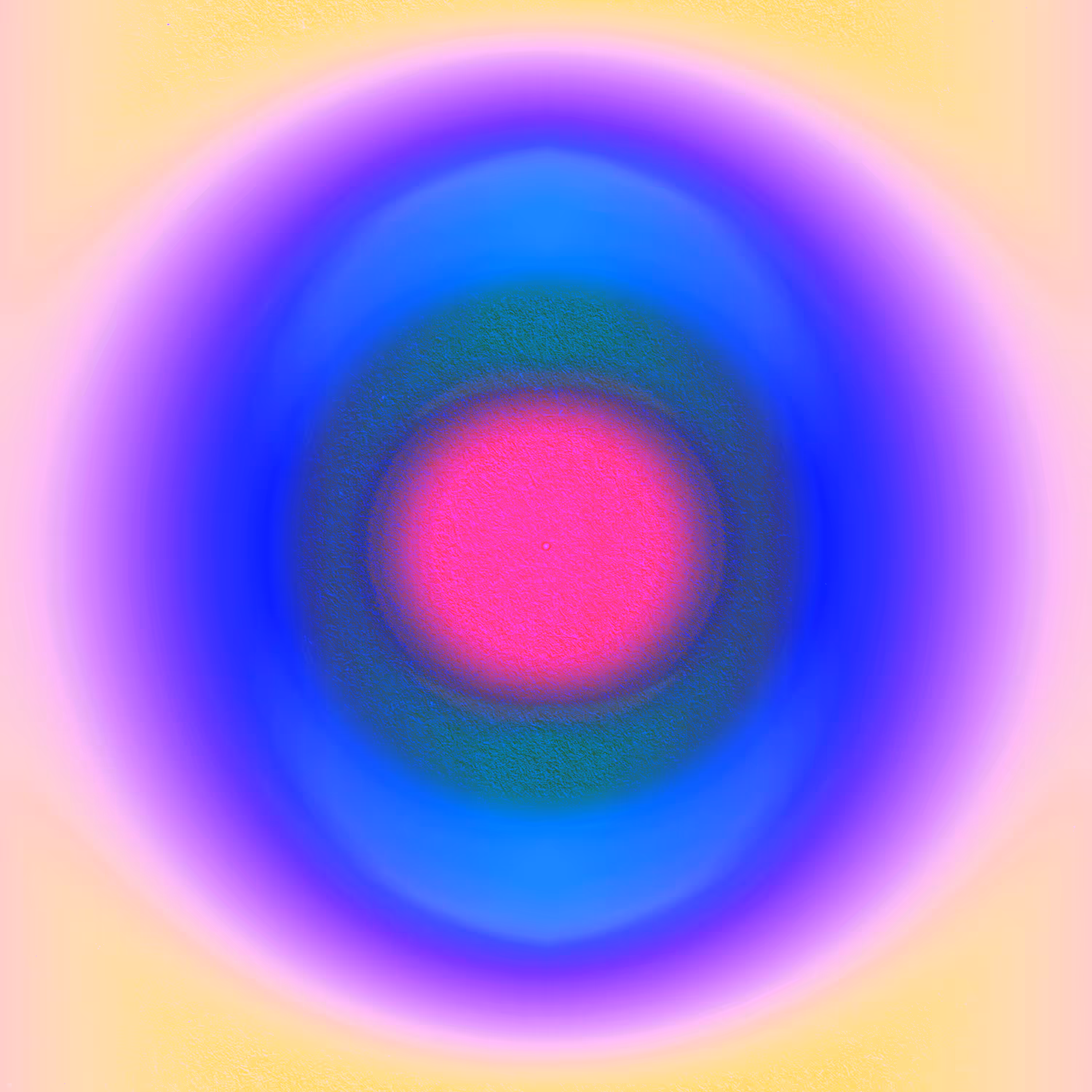 SPECTRUM 319