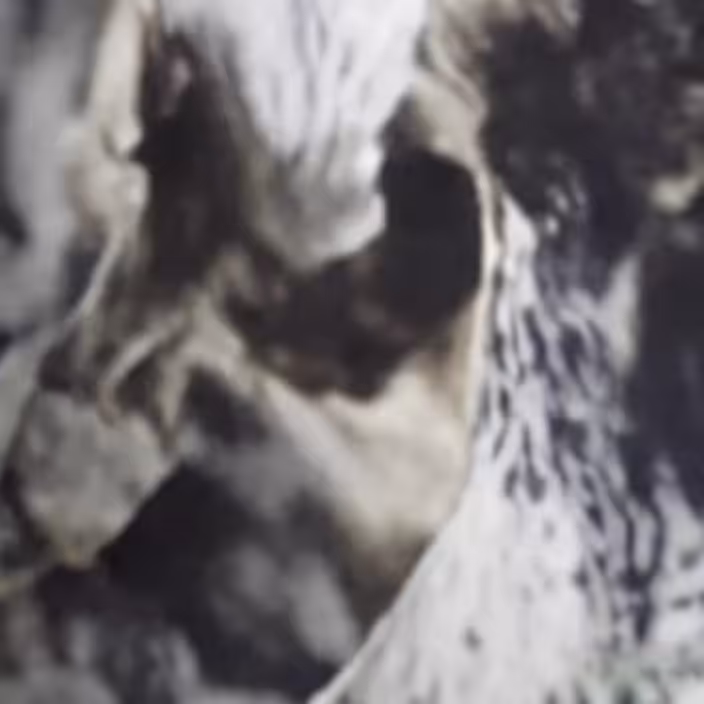 Death as a Child 14
