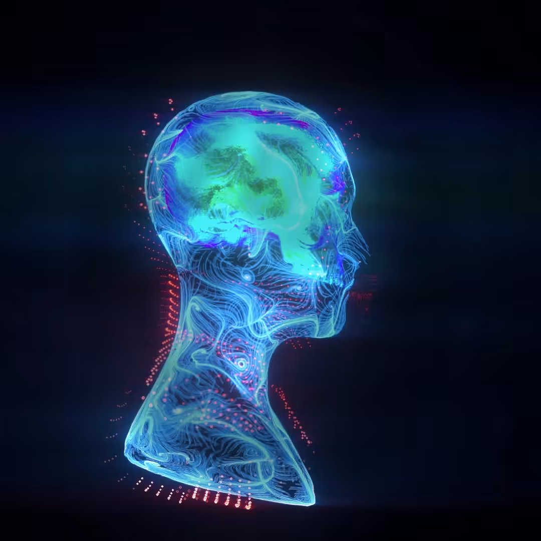 <Cybernetic Signals//001>