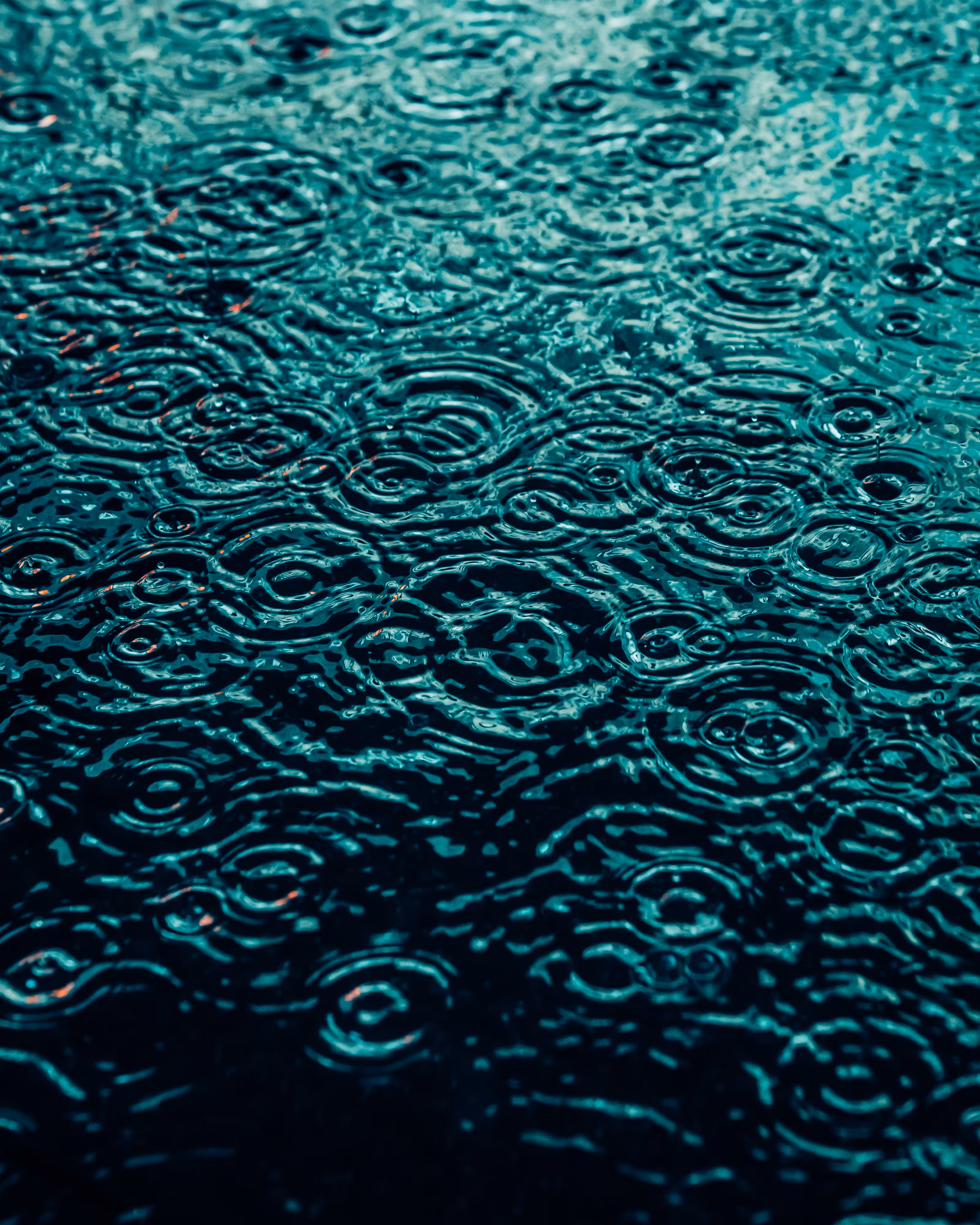 DRIP DROP: DRIP #872