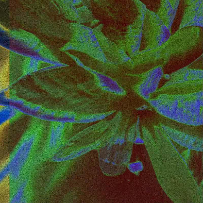 CLDCSMC #118