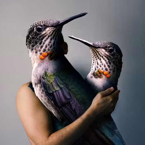 Birdsheart 