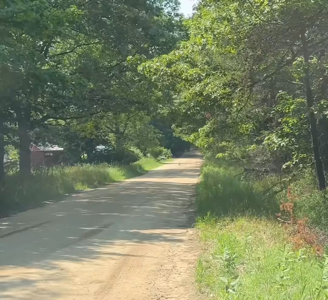 Morning walk