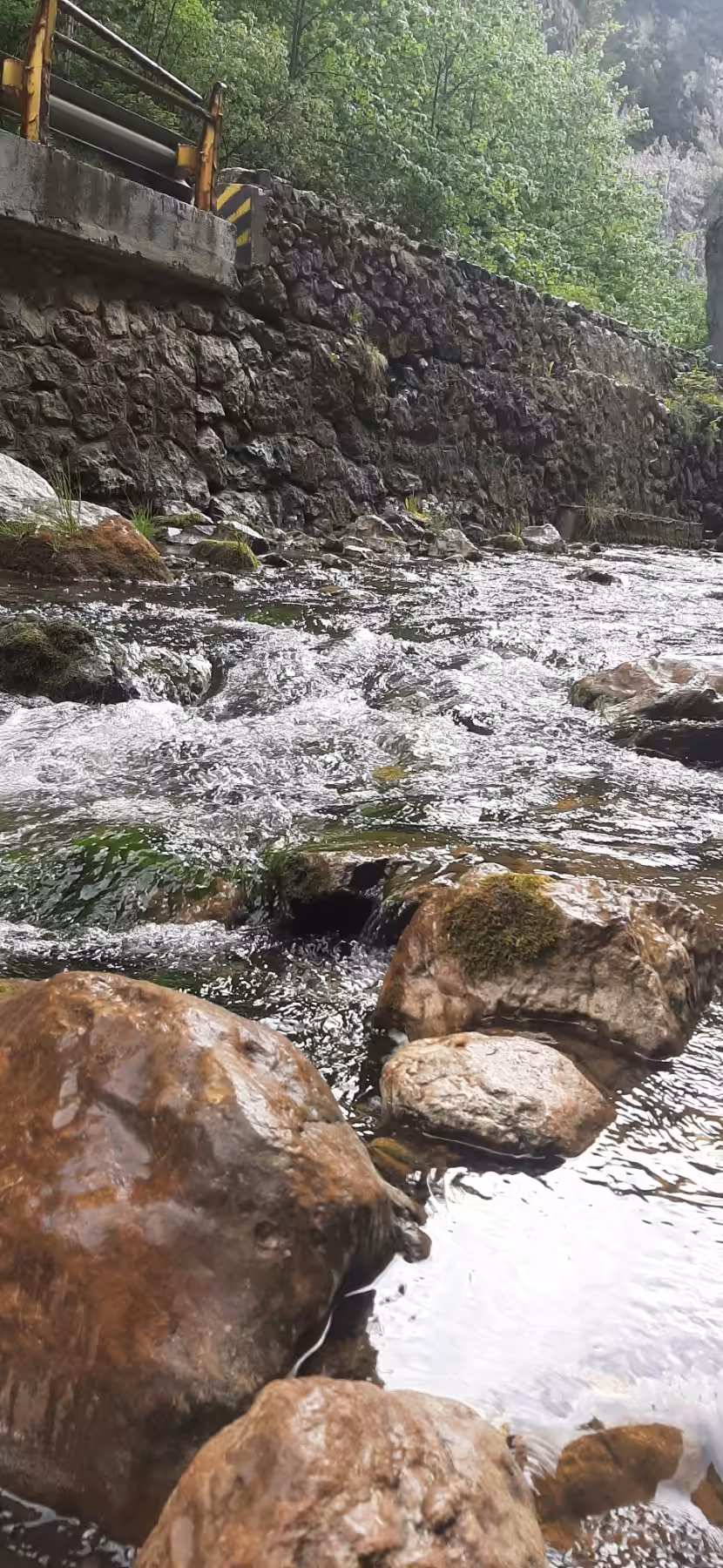 Mountain Creek)