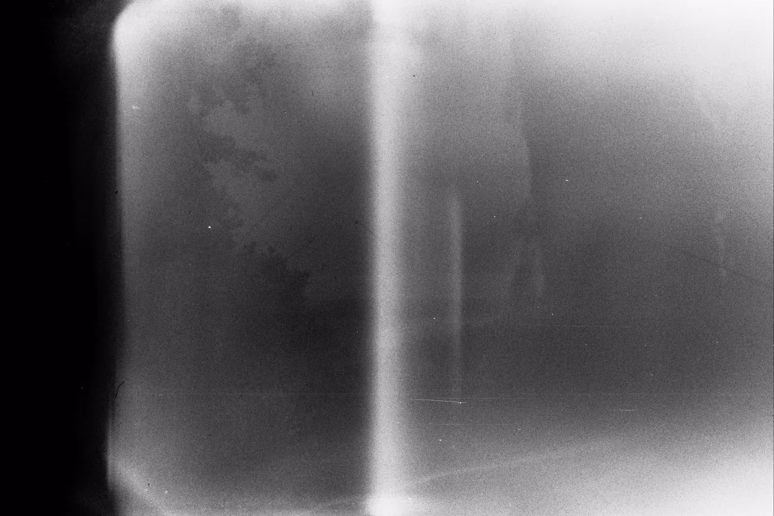 Not of woods only and the shade of trees.