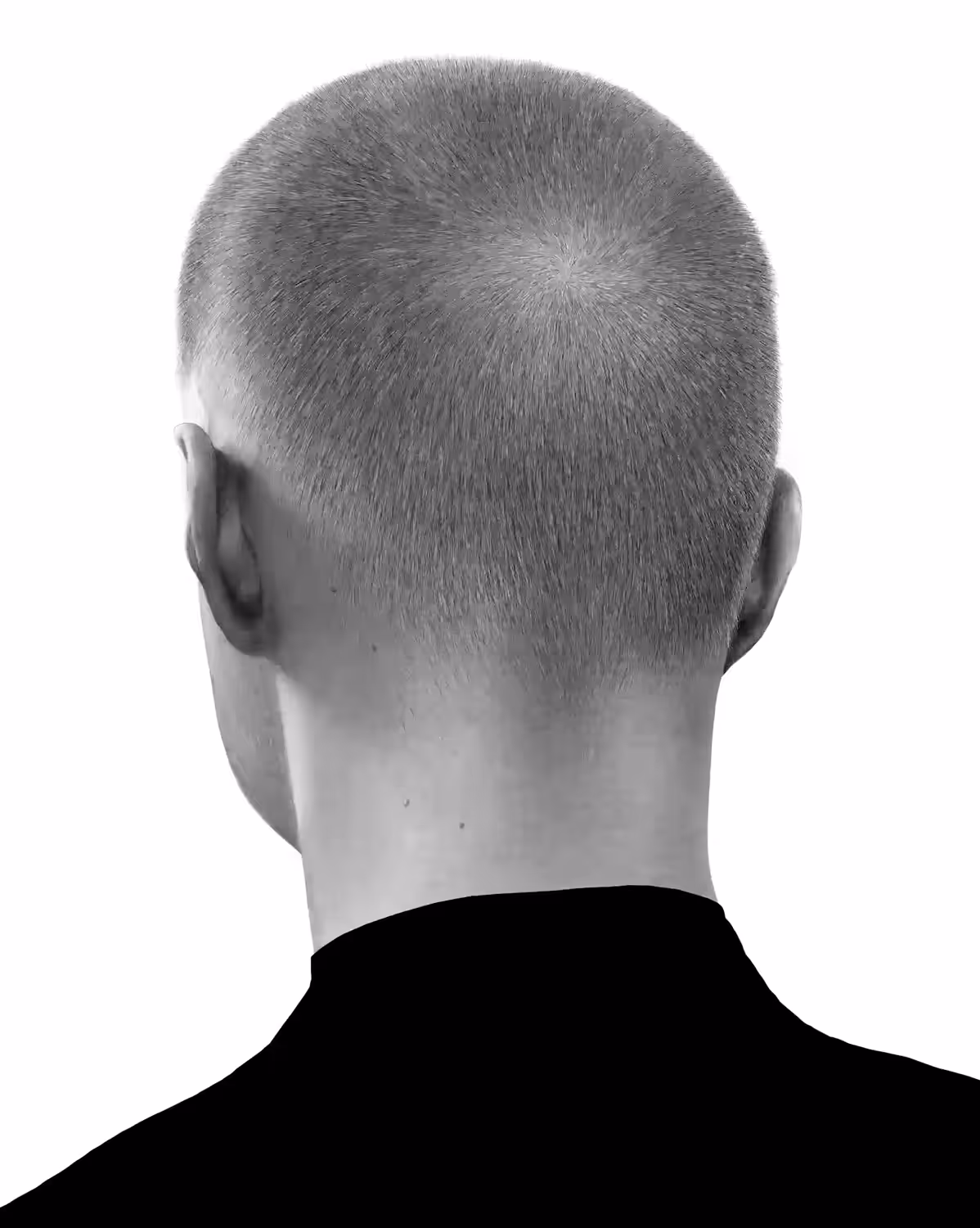 Meta barber