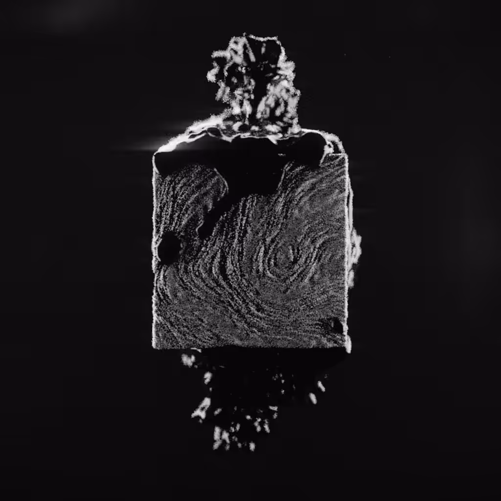 lmnt-01