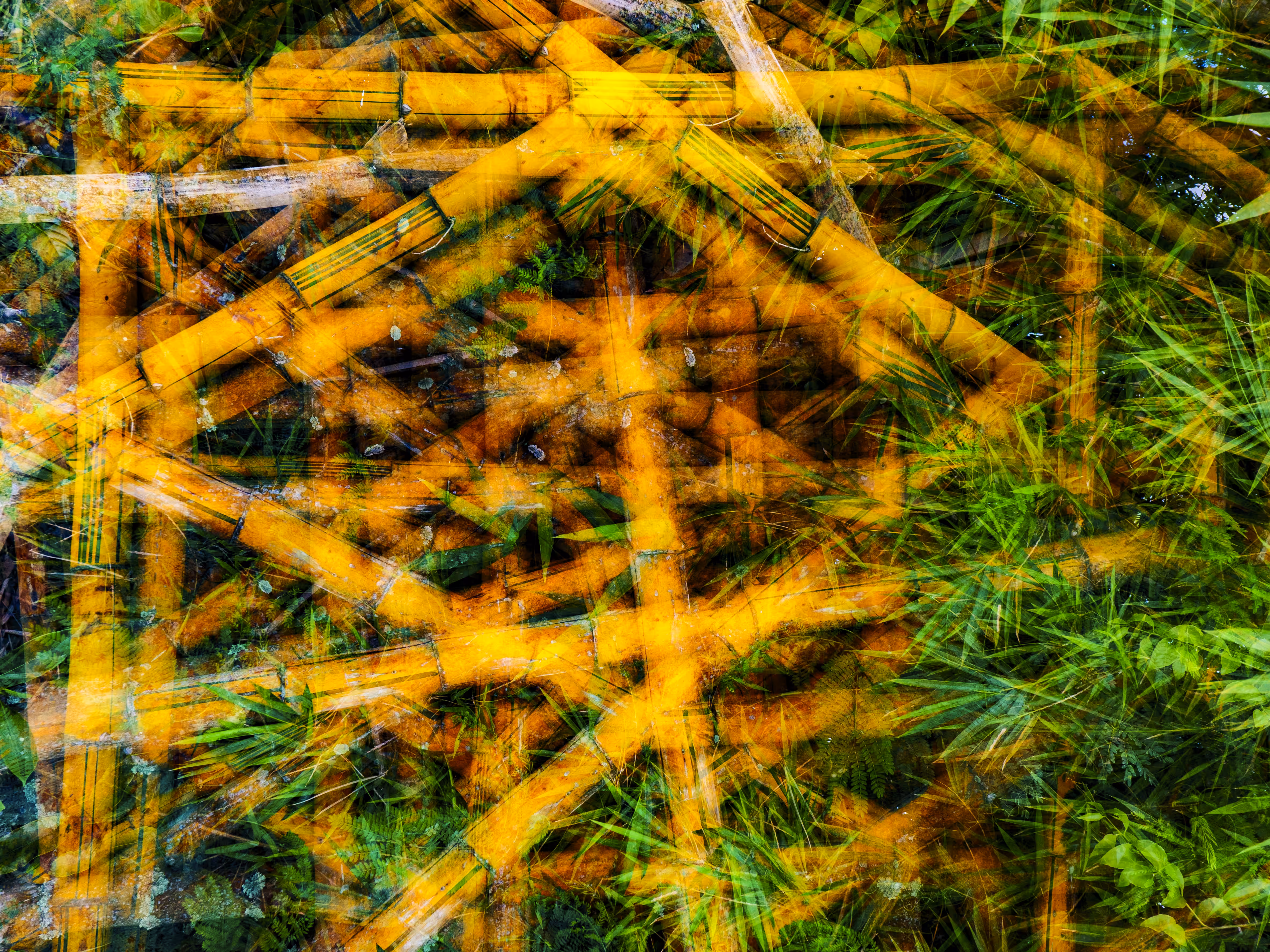 Nature-Reverie#7
