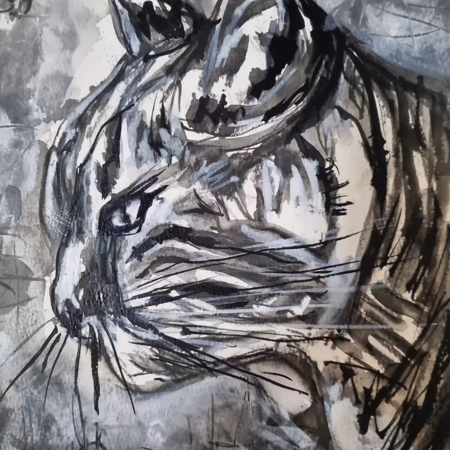  Childhood Tiger alias Rusnya the Cat