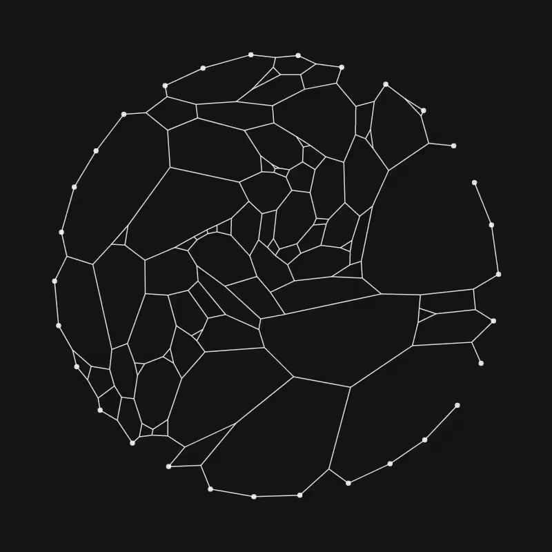 Elastic Web #15