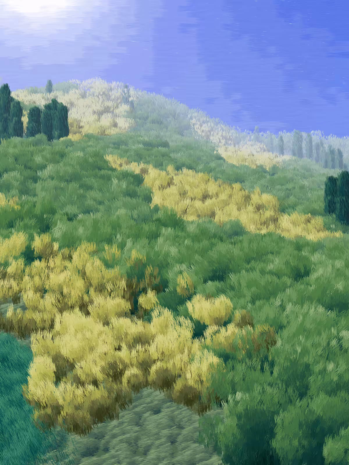 Provence #59