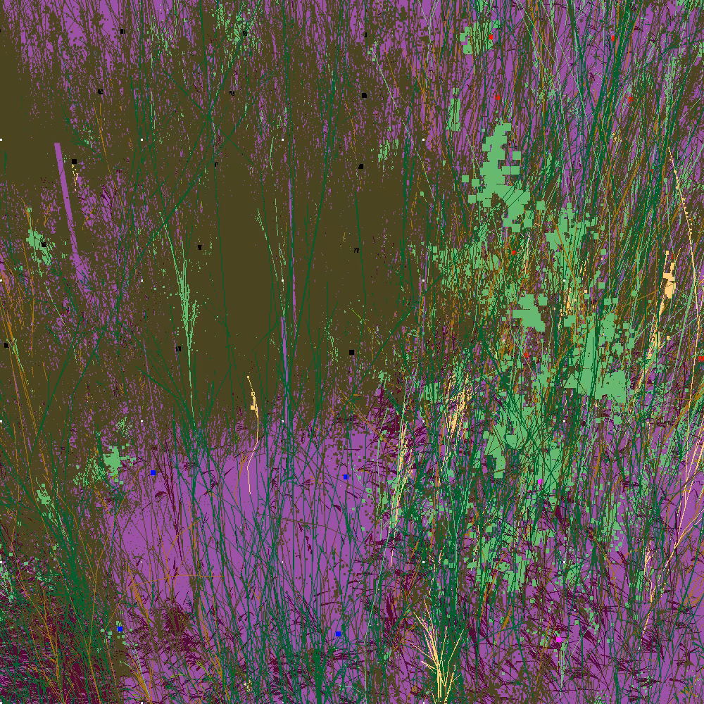 Infinite Garden: 69435 Flowers