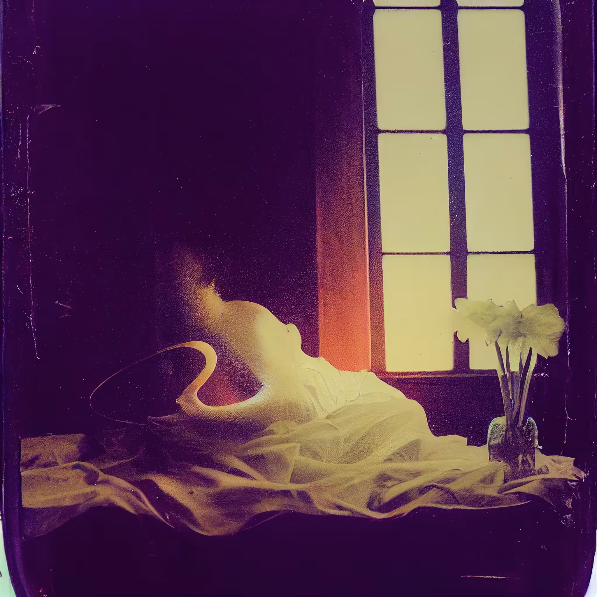 Fading Silhouettes