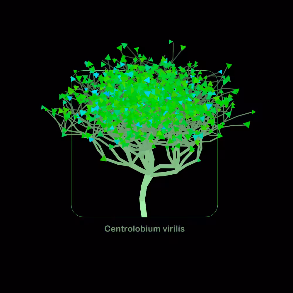 Fluidynamix - Trees #31