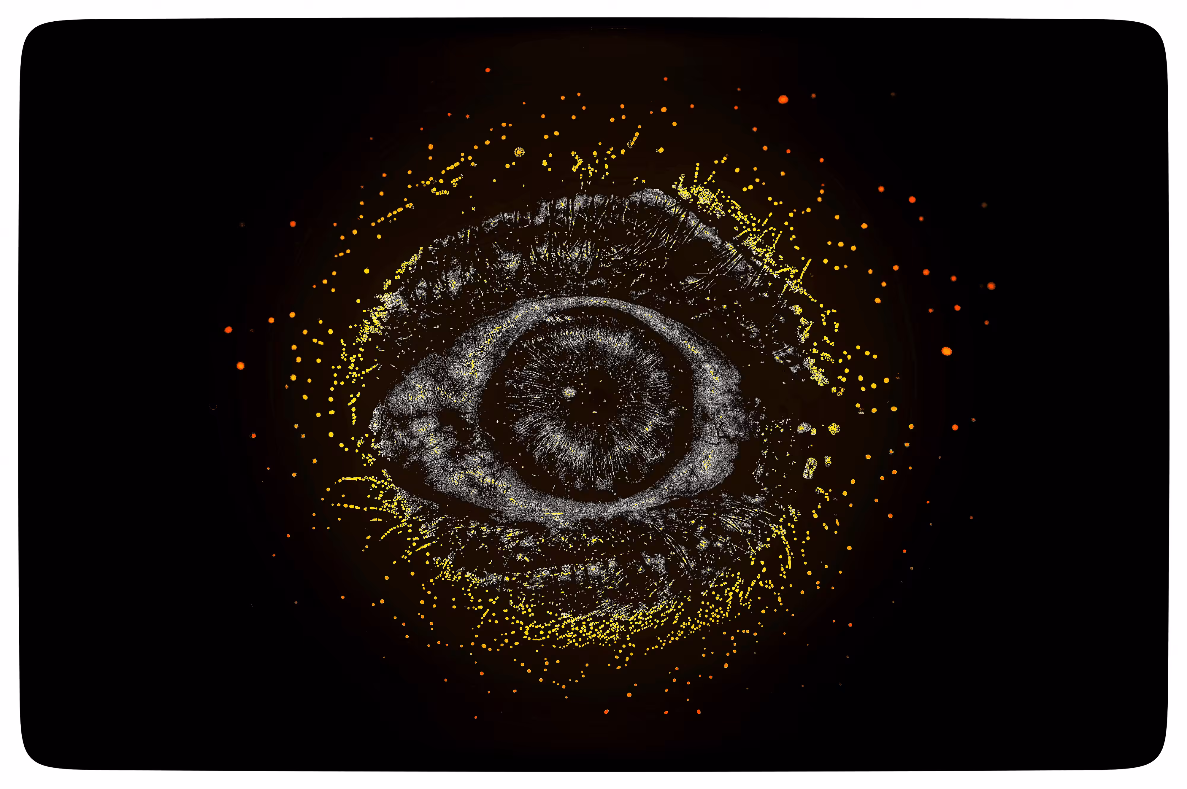 Eye #33