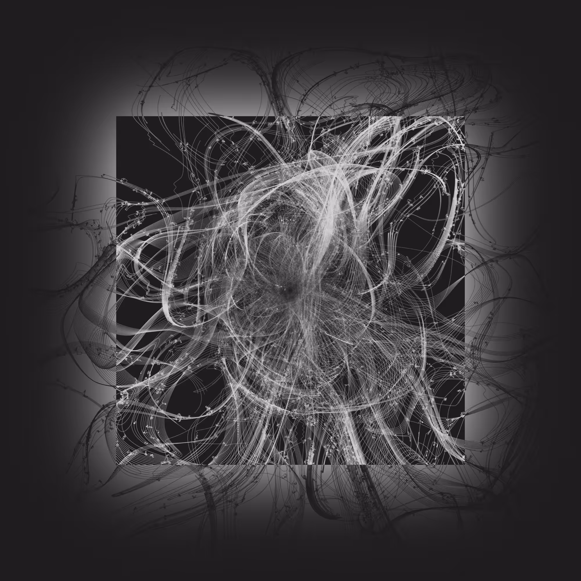morganii.01