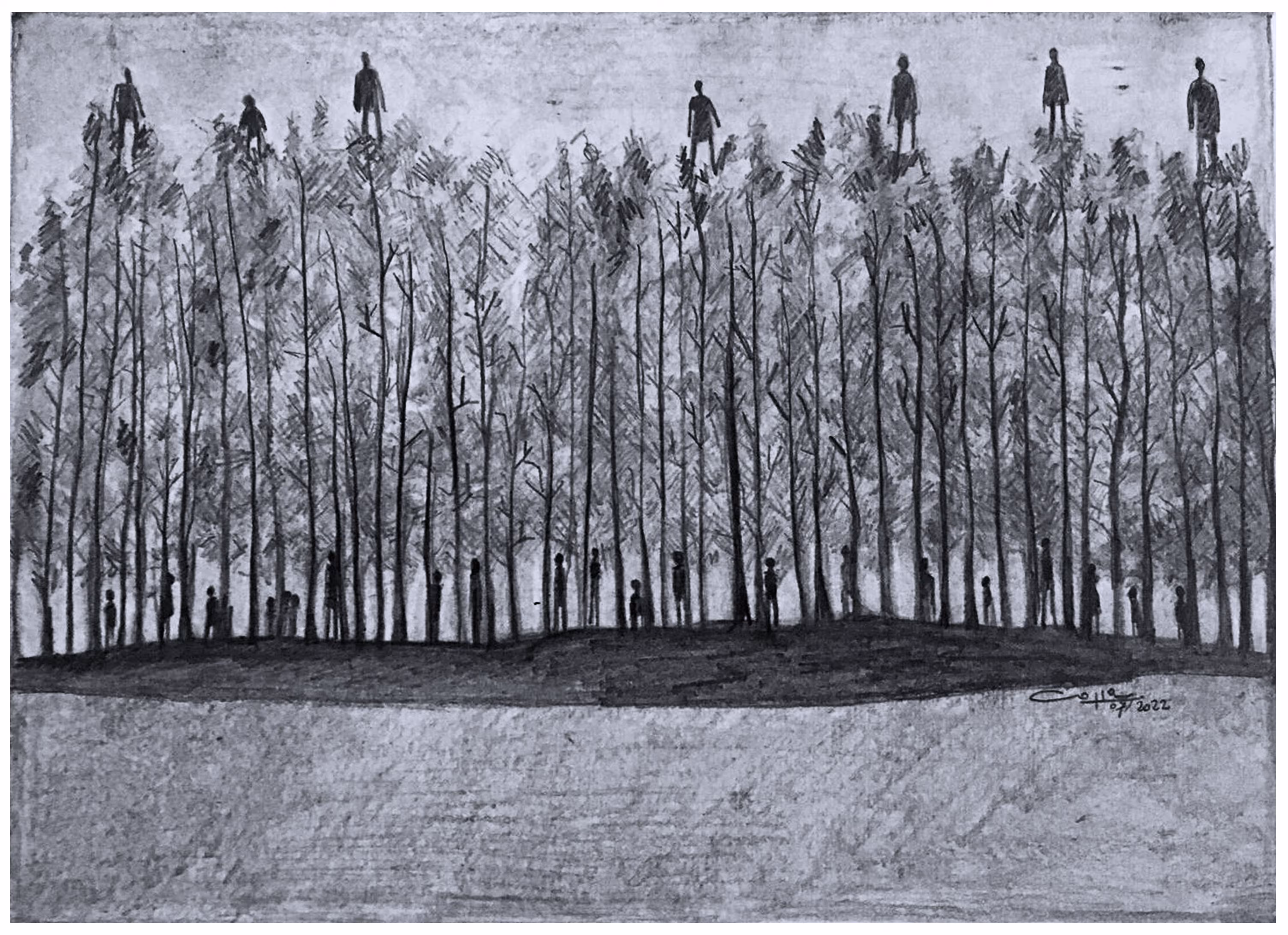 Aliwen | ¿Son aves? | S'agit-il d'oiseaux? | Are they birds?