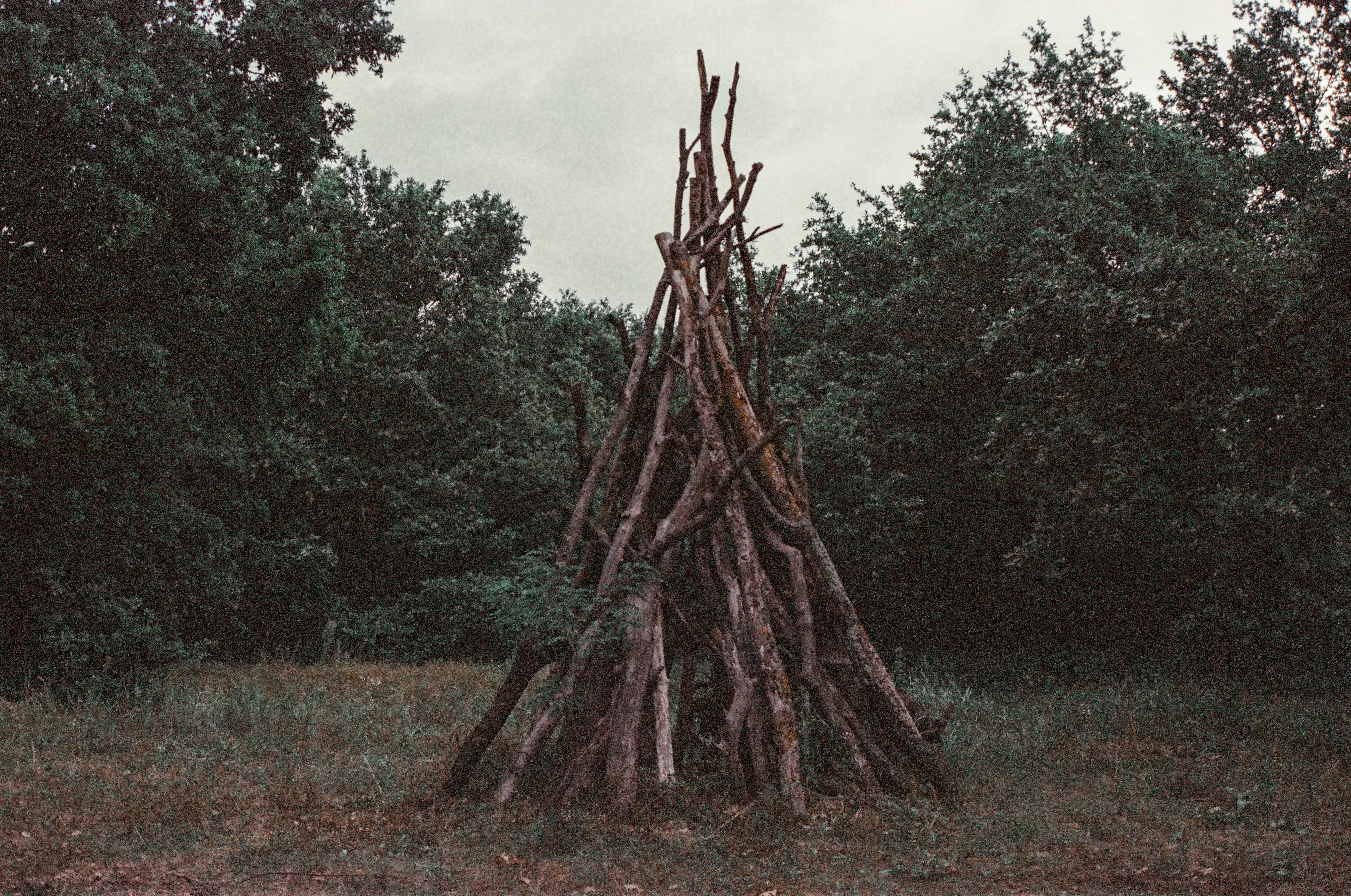 Spleen Totem