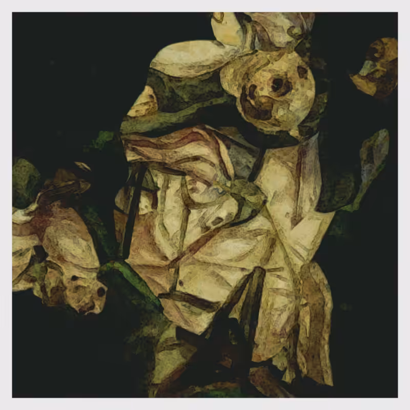 Artefact #77