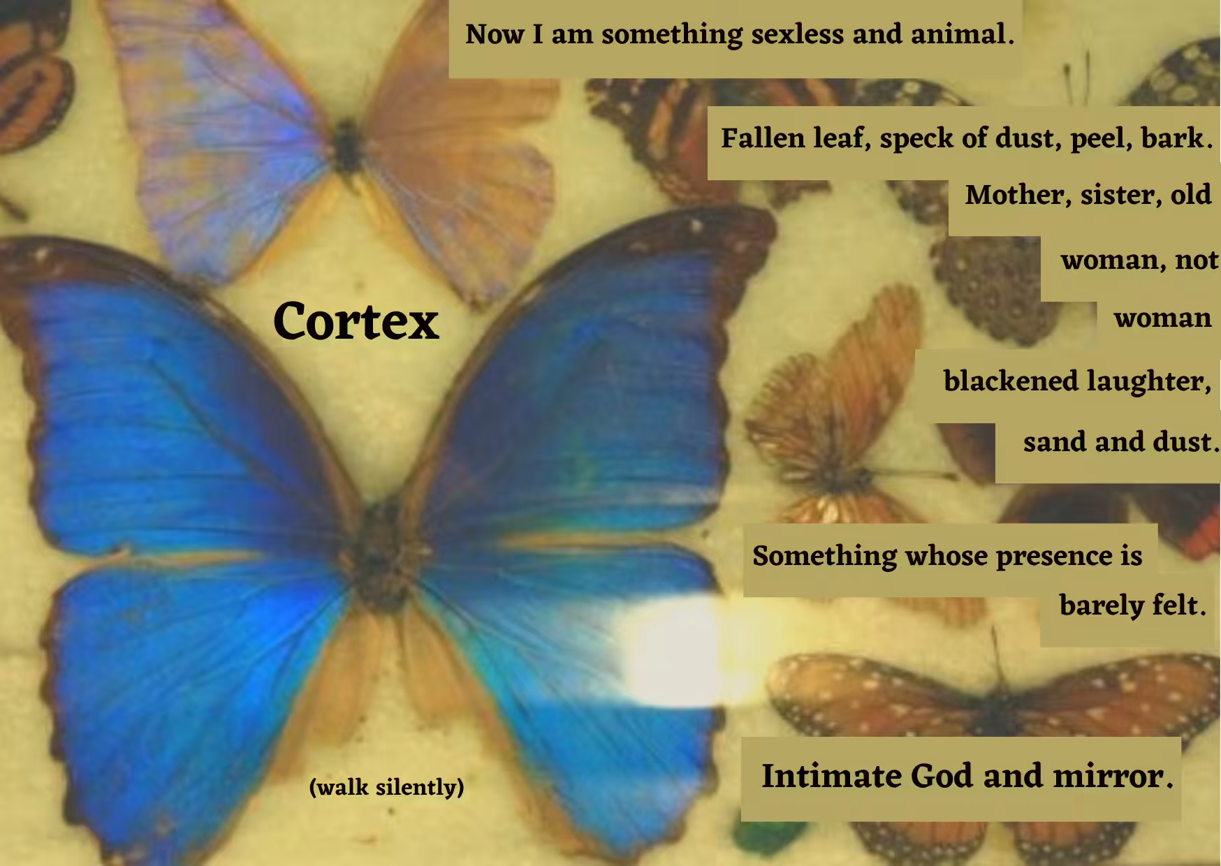 Cortex