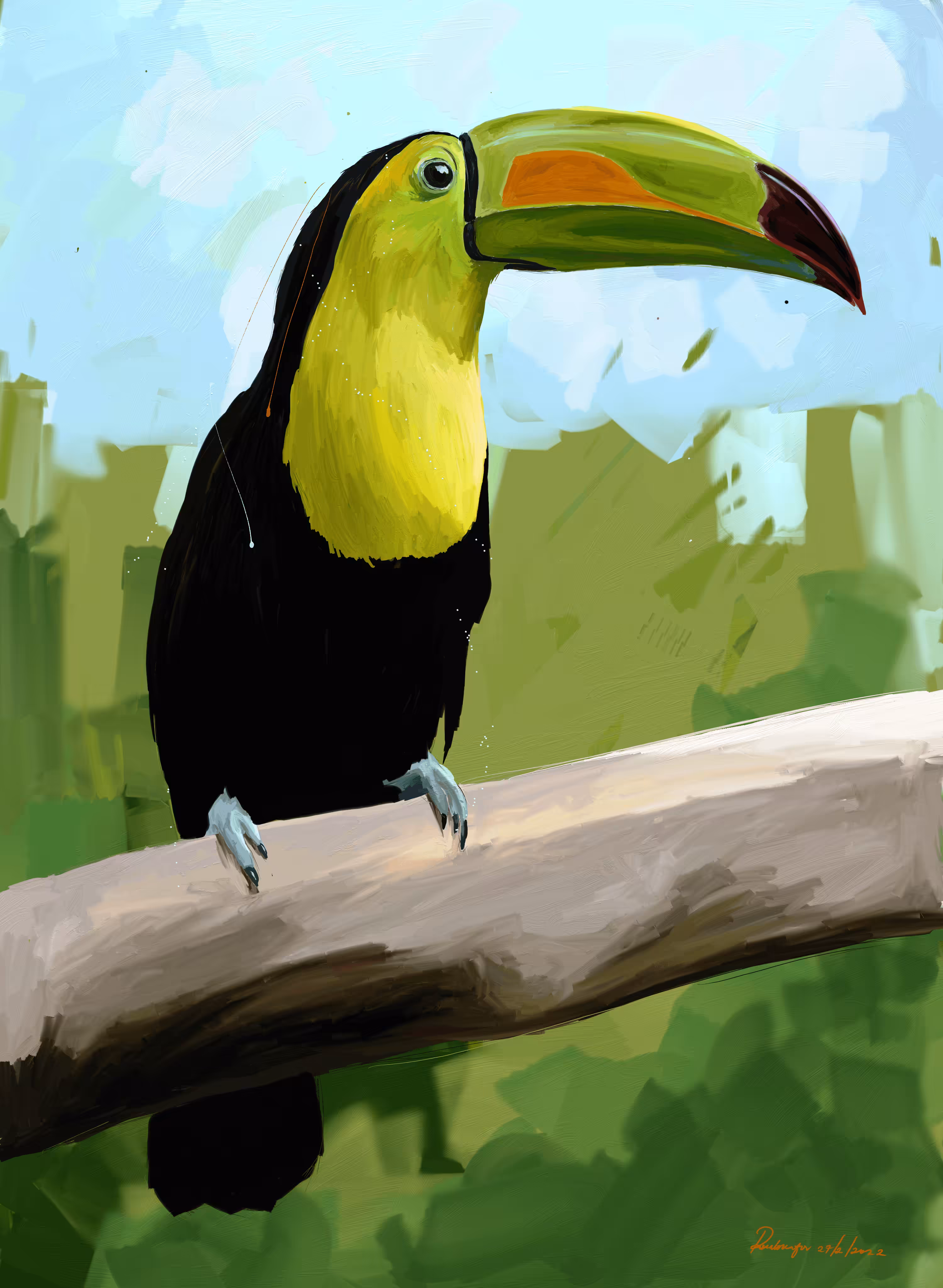 Toucan