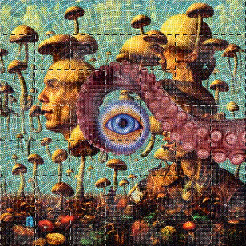 BLOTTER #55