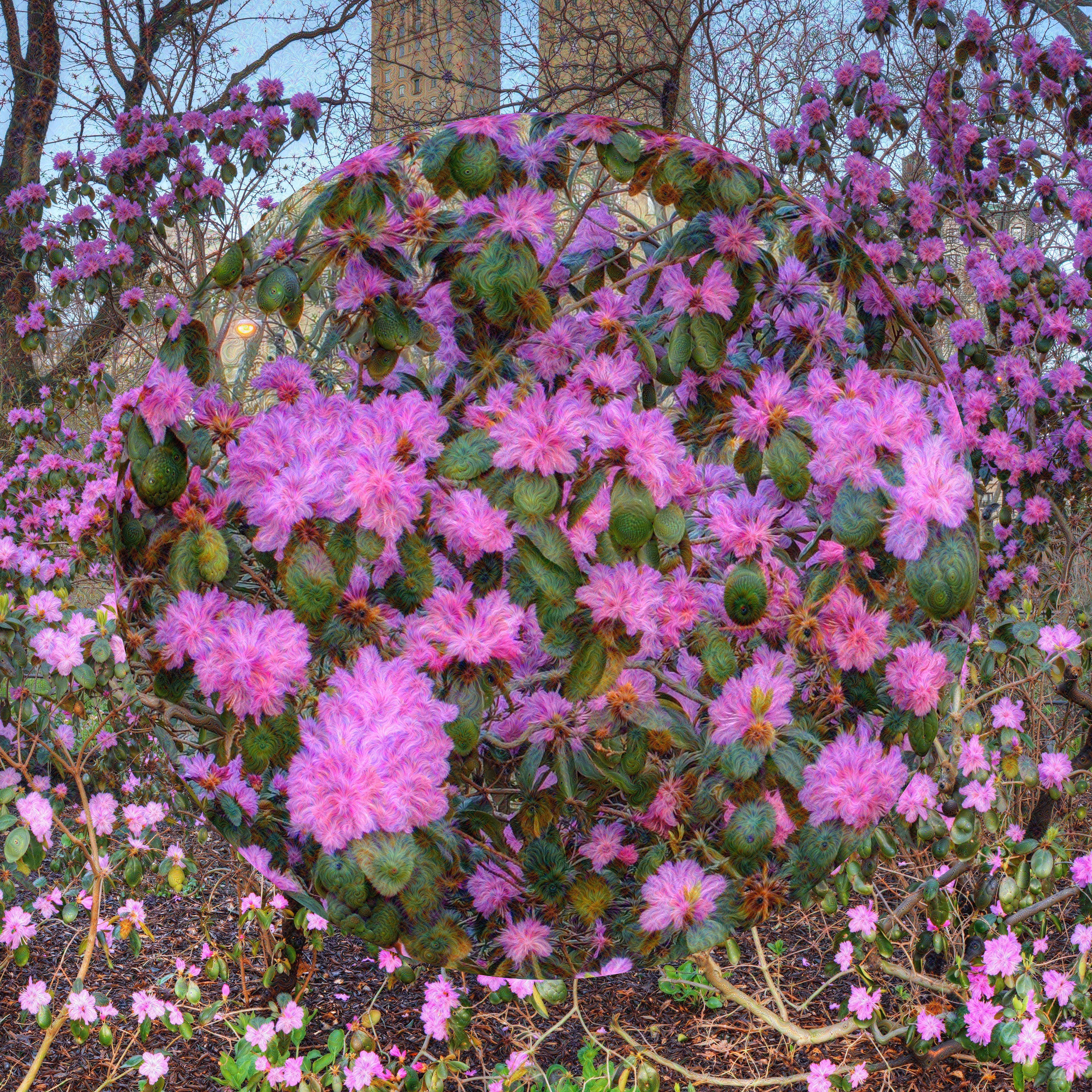 Azalea Walk Dream Lens