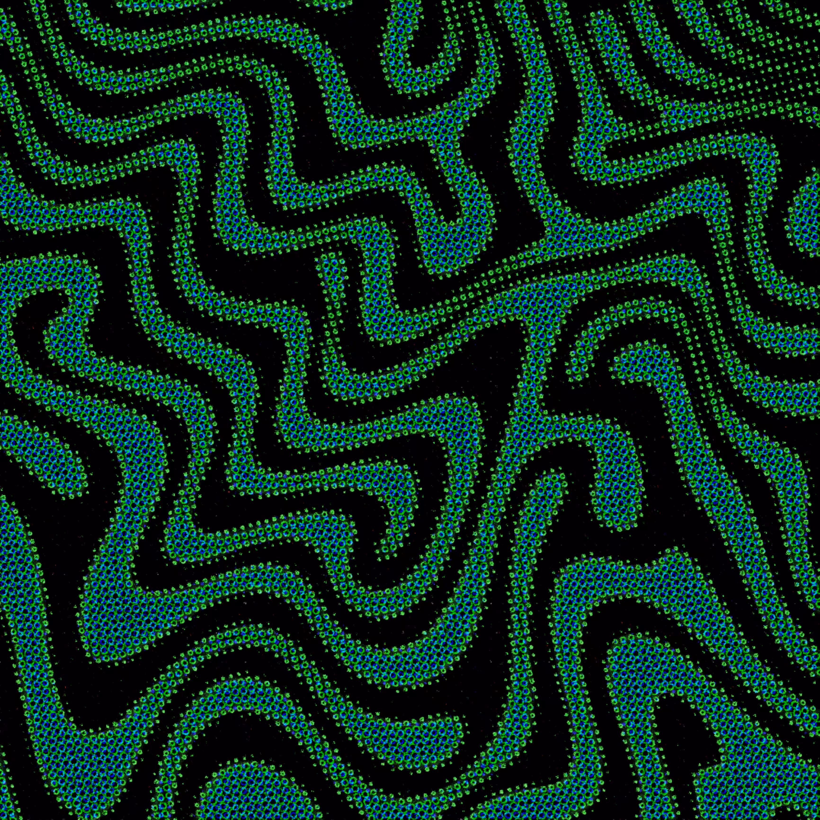 Digital Maze