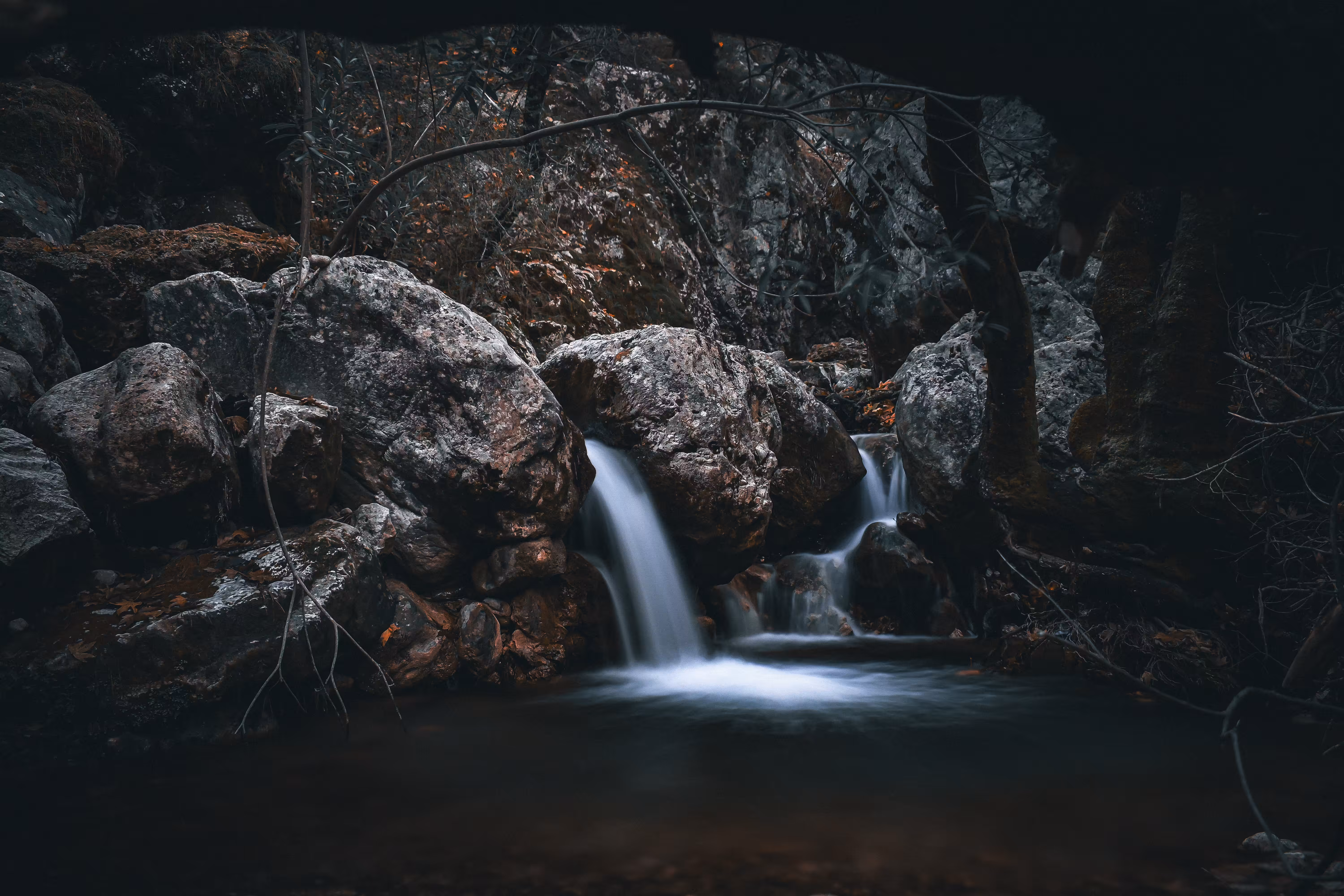 Nature's Pulse