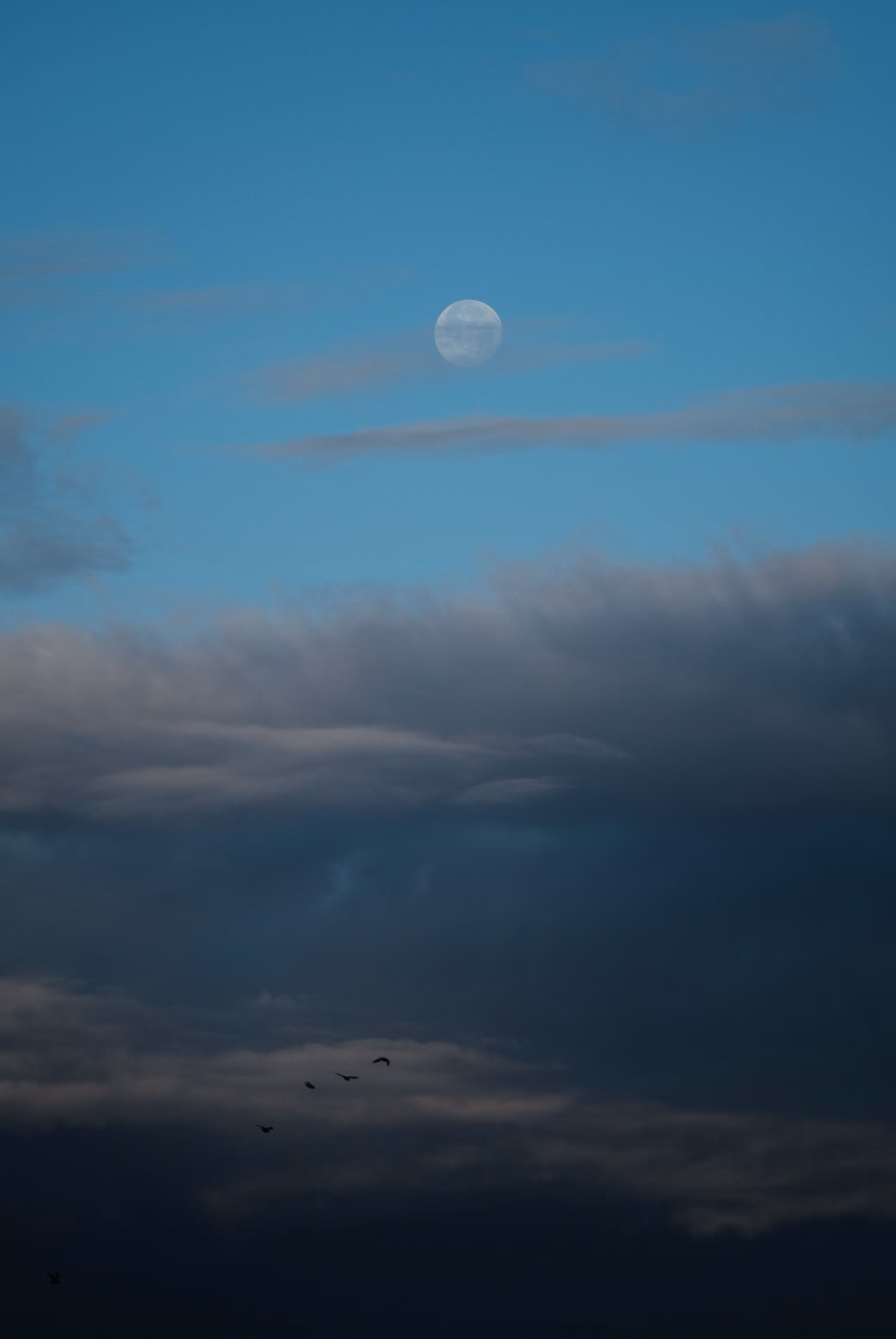 Whispers of dusk