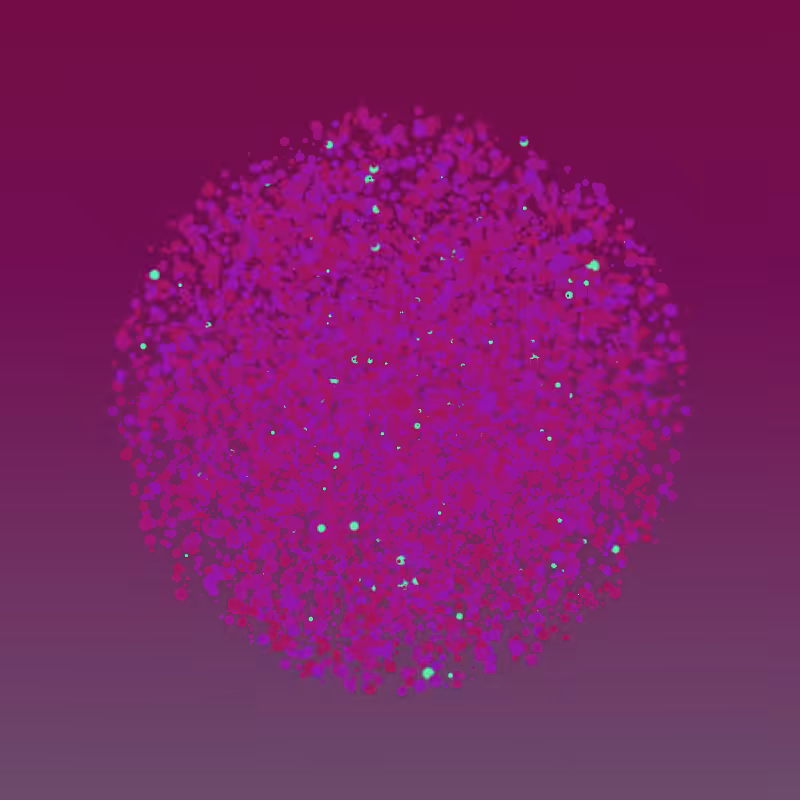 Coalesce #186