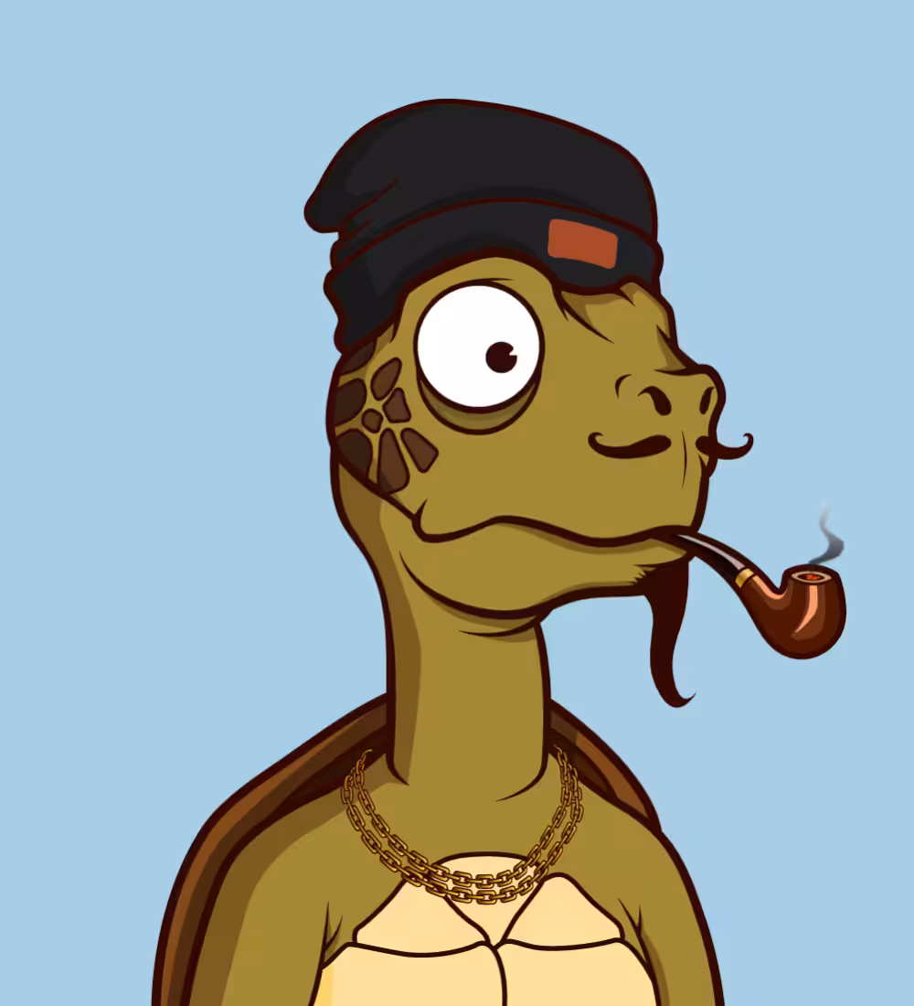 Tiny Turtle 26