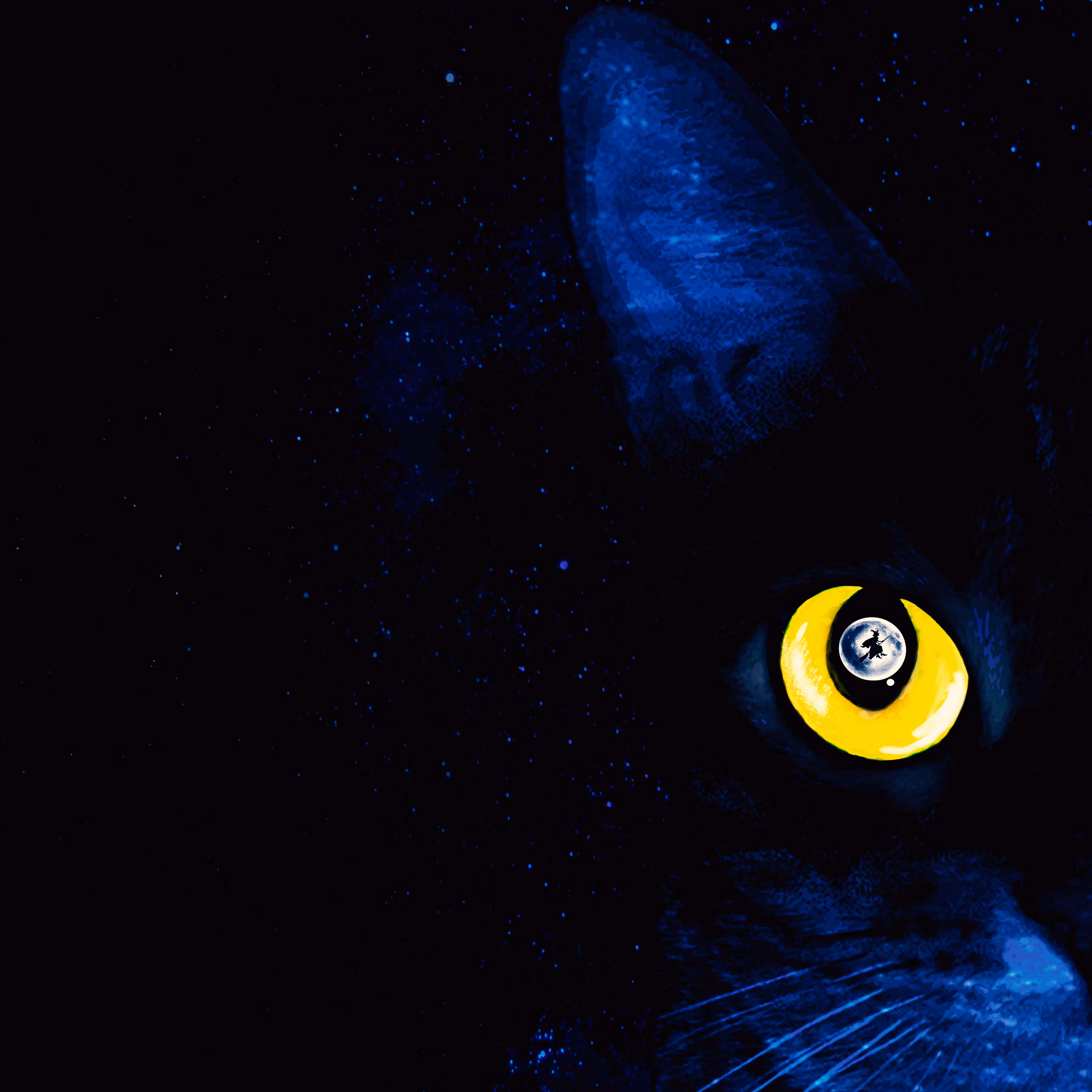 Moon cat