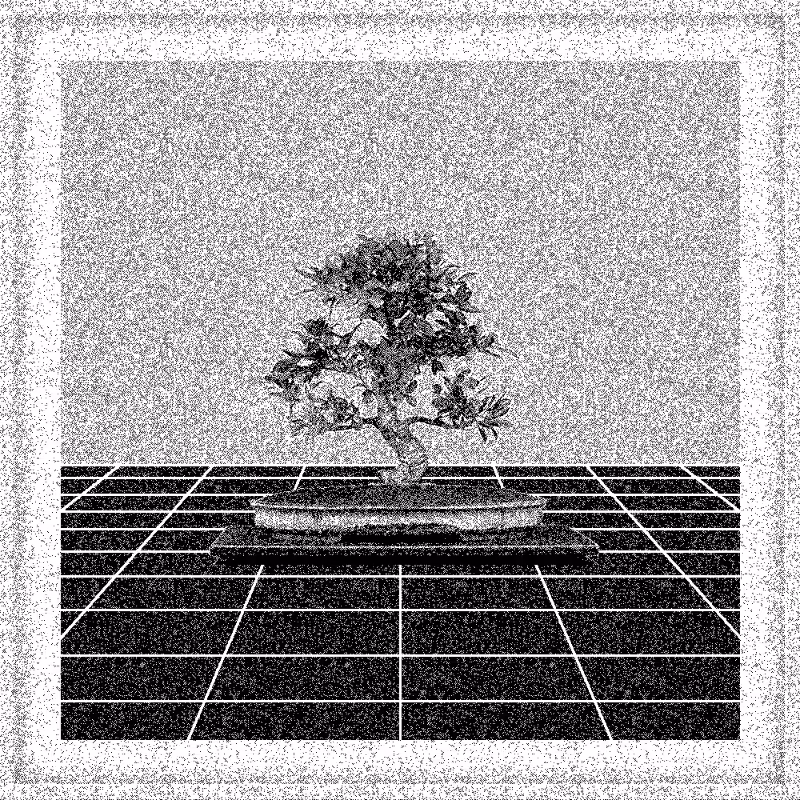 Bonsai Bonanza #141