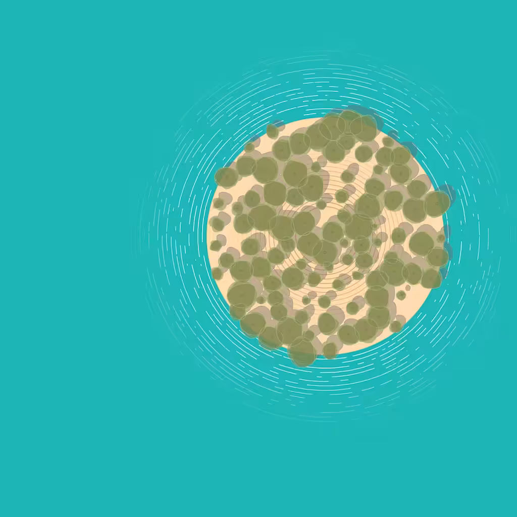 island 02