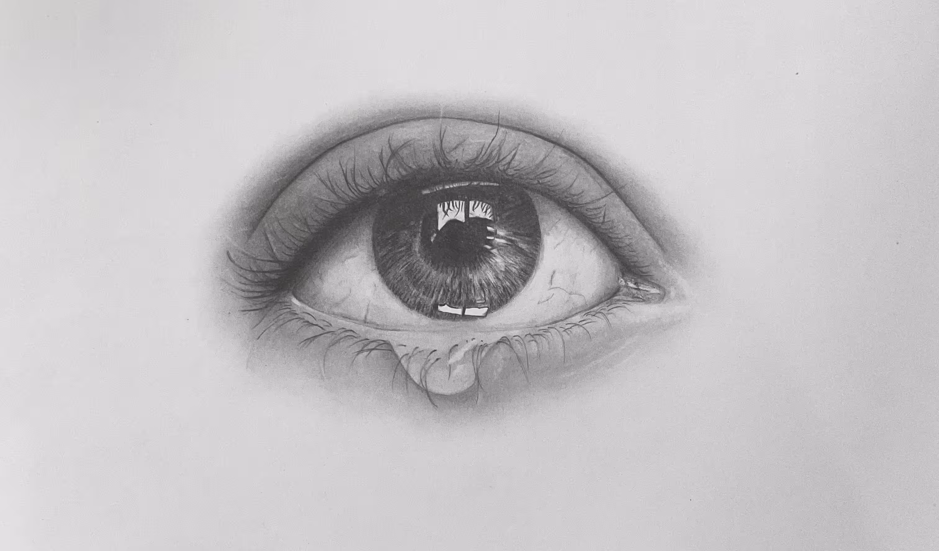 eye and tear