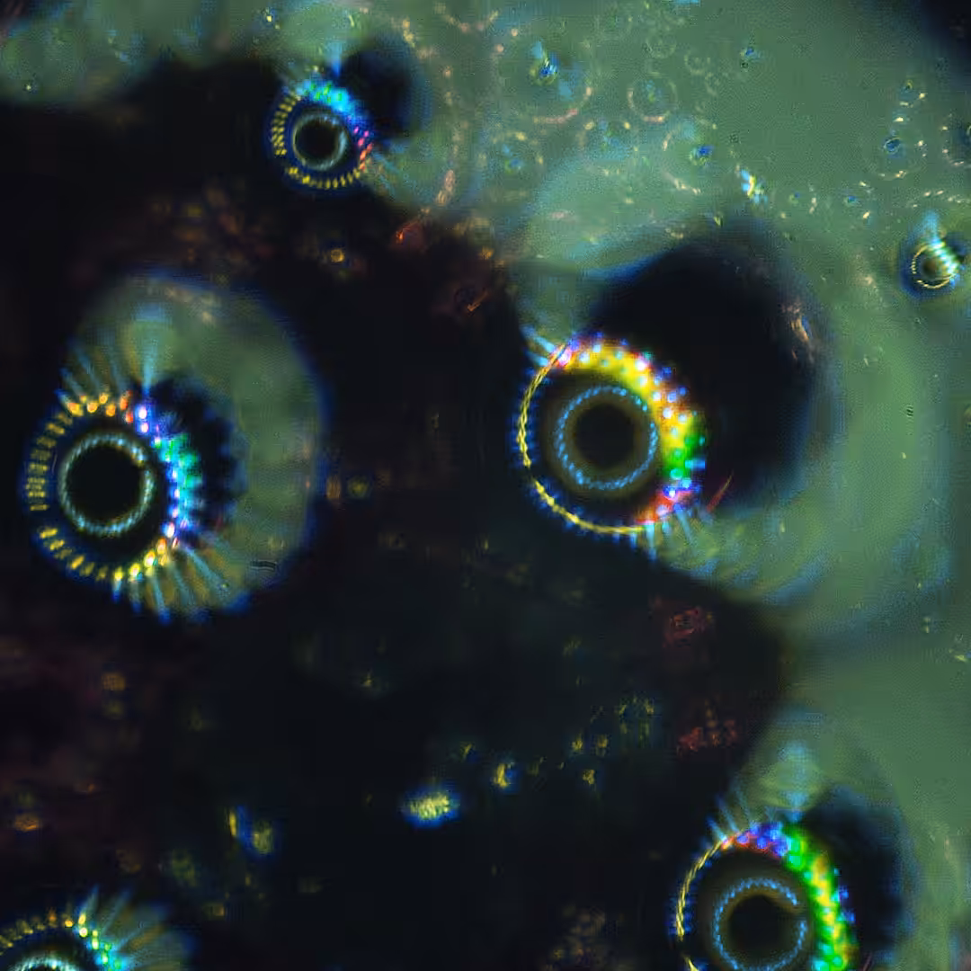 Abstract 1