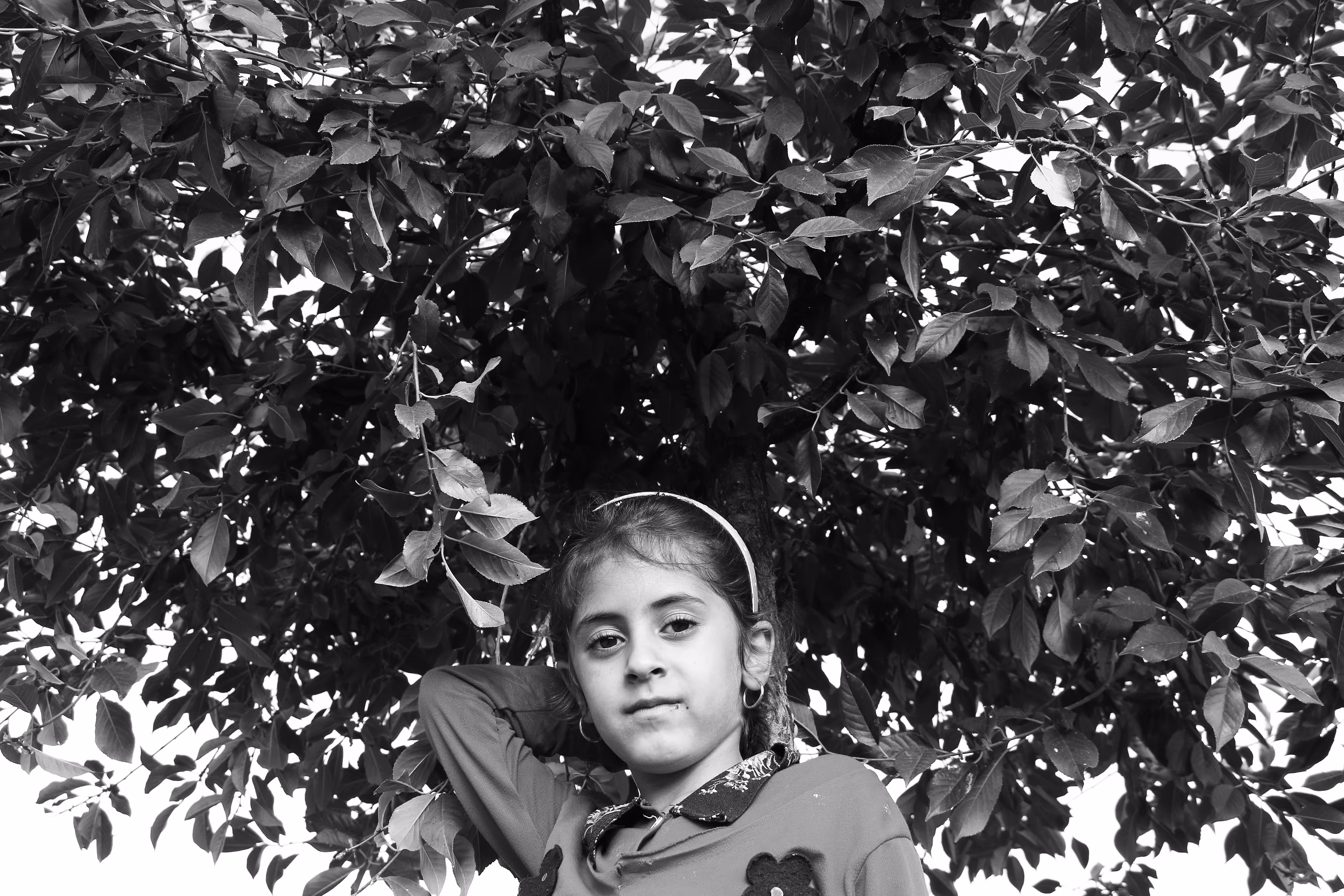 Tree hair girl