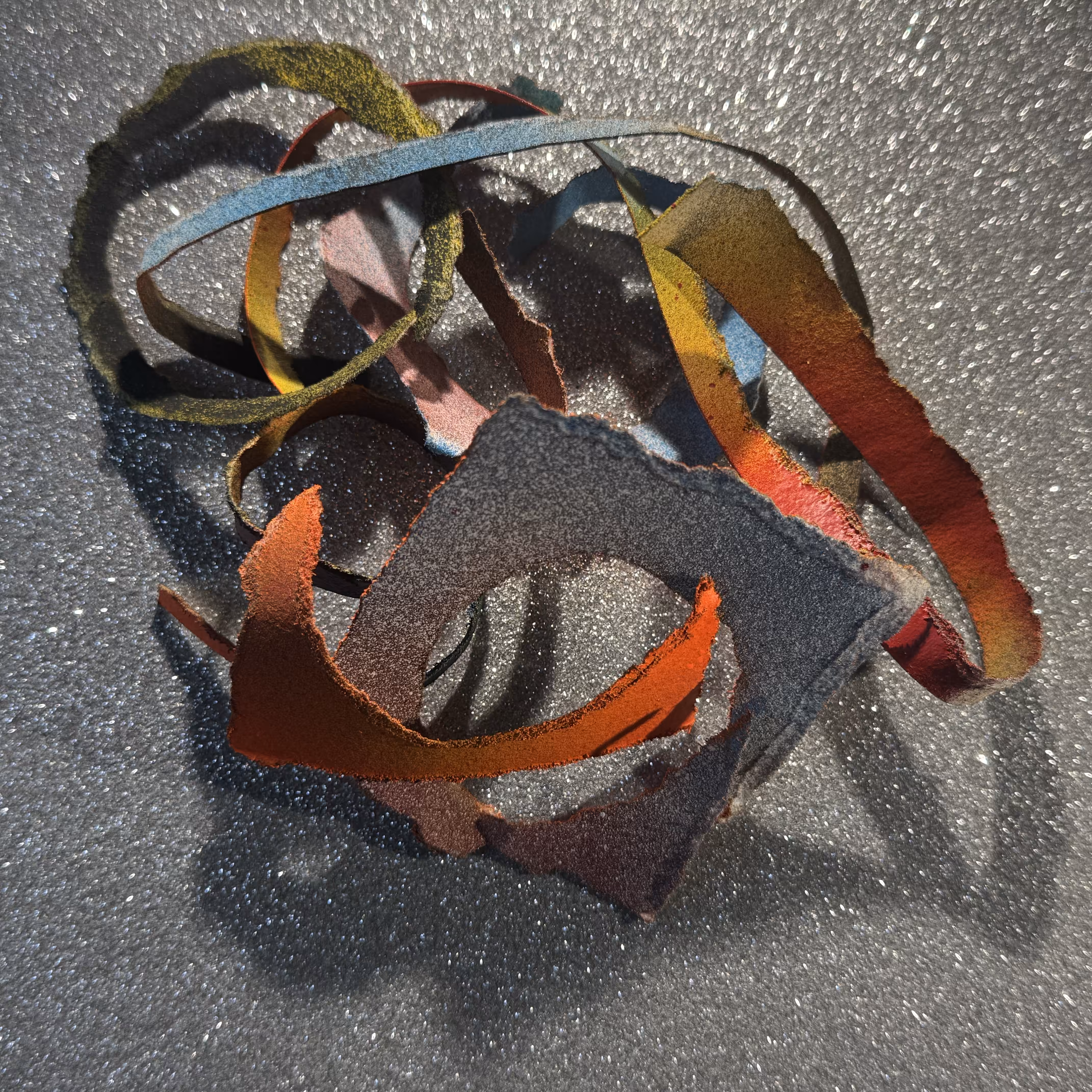 DETRITUS