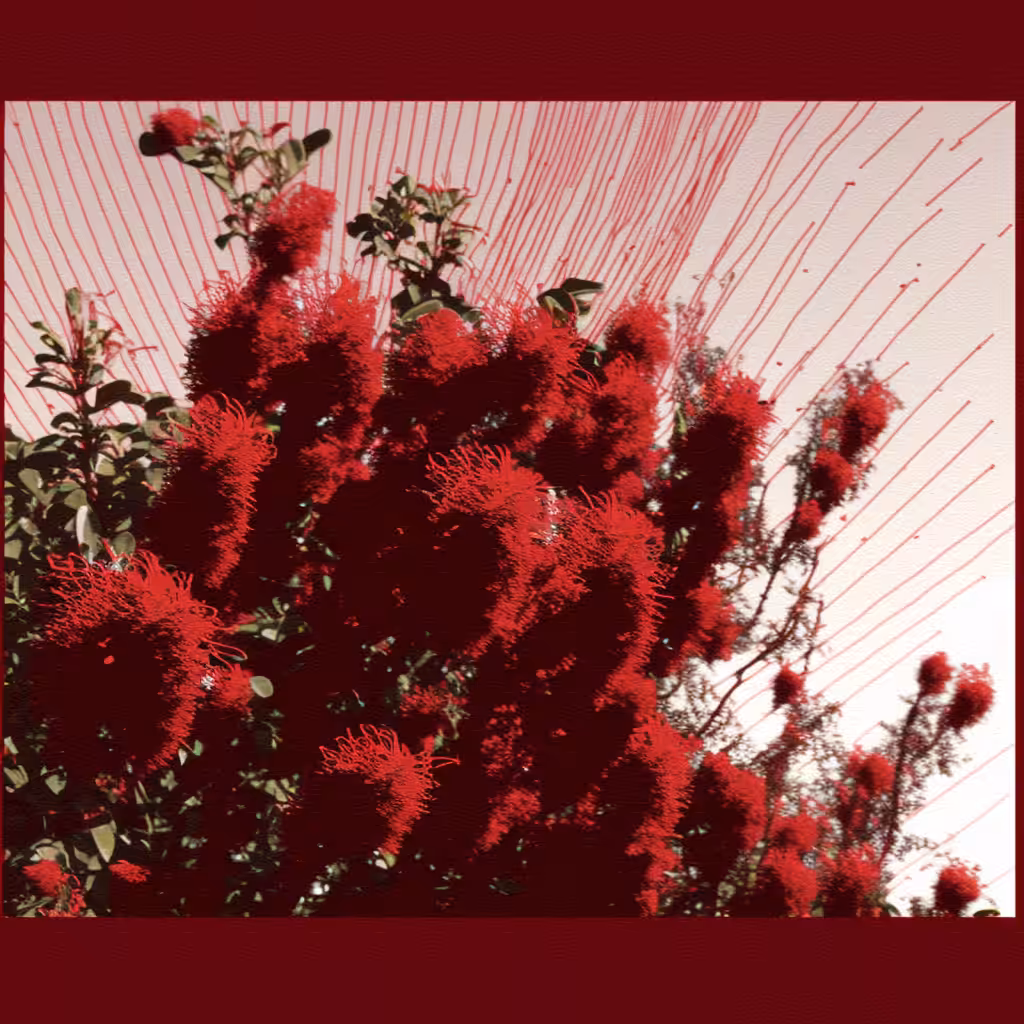 Bottle Brush