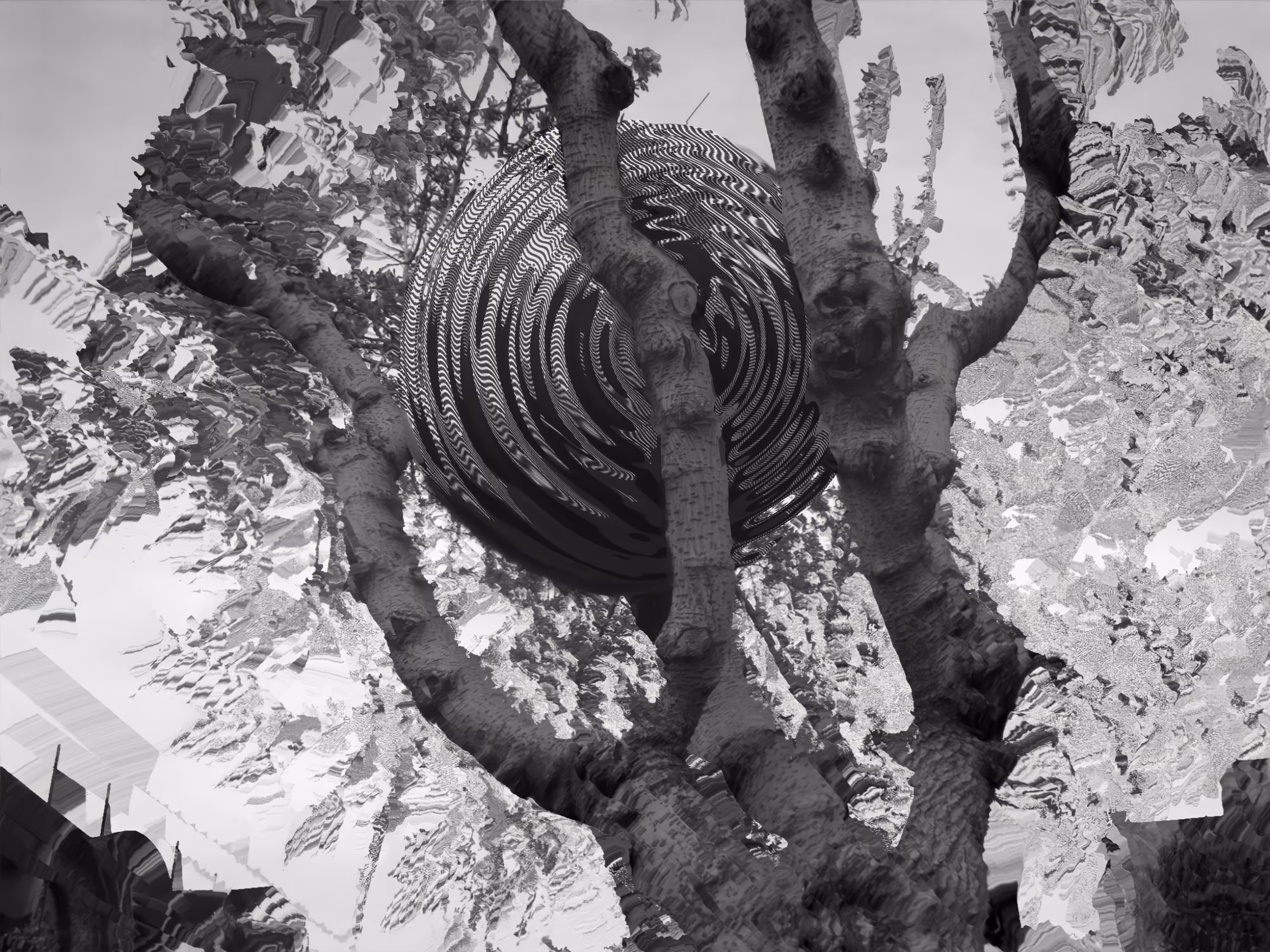 Tree ball