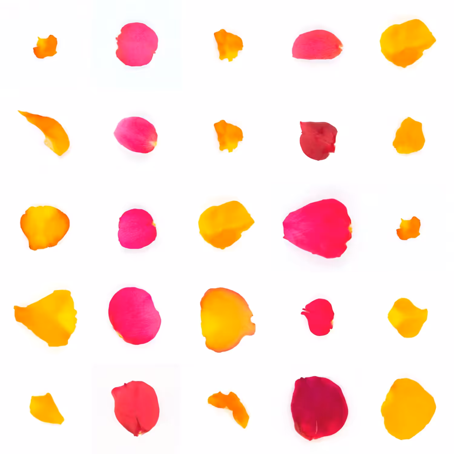 Infinite Petals 5x5#20381
