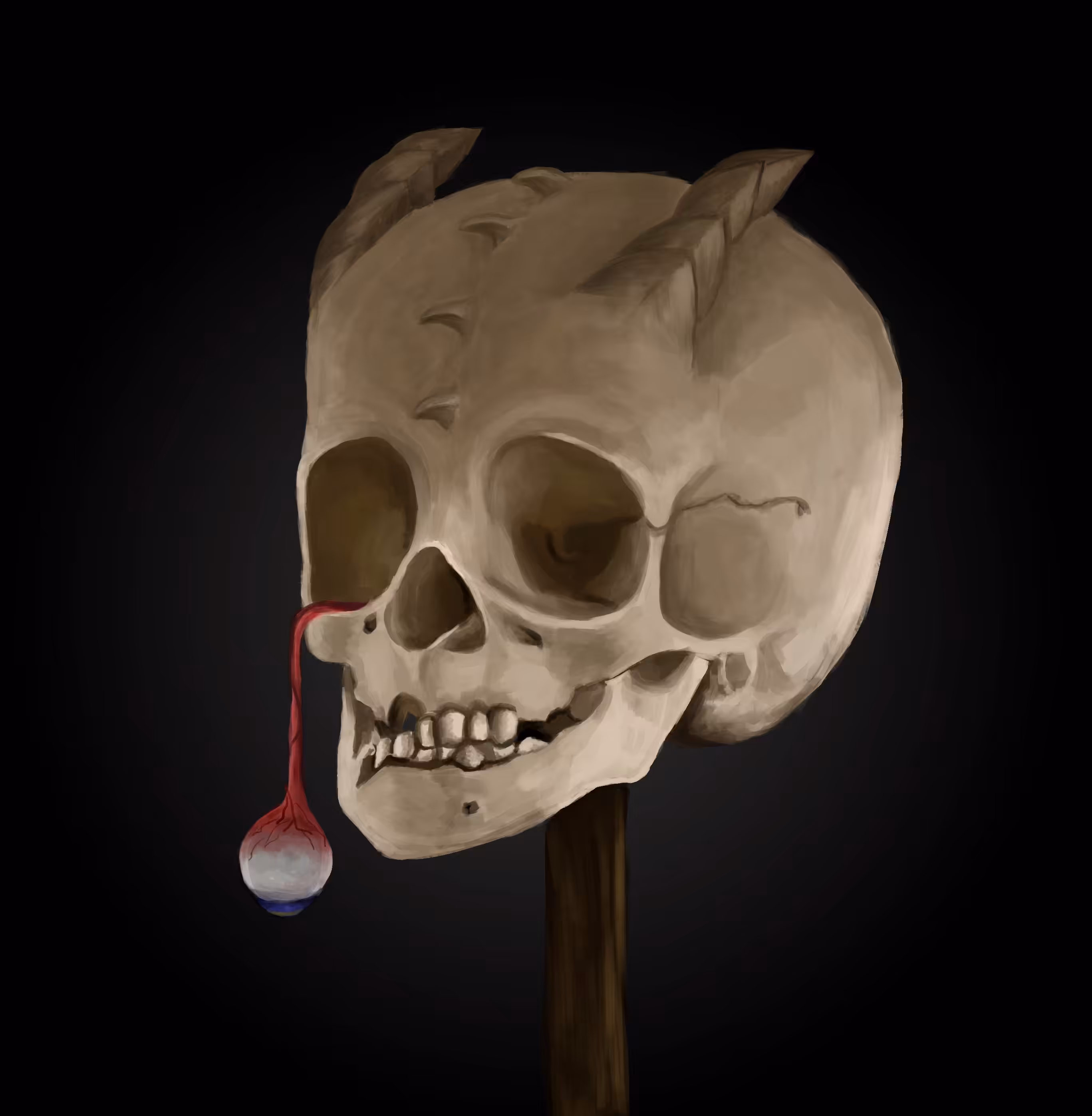 Boy’s skull
