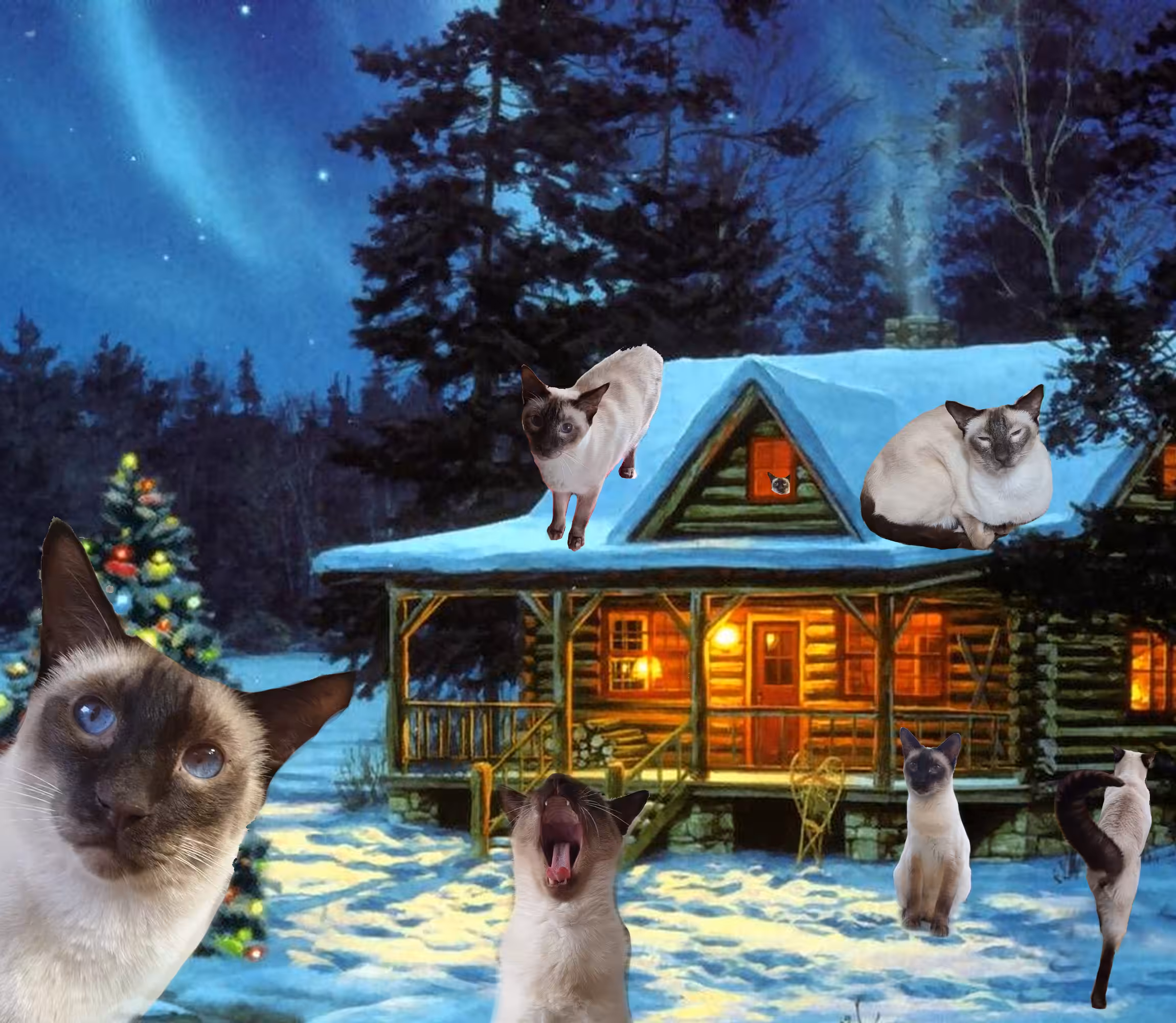 charlie christmas