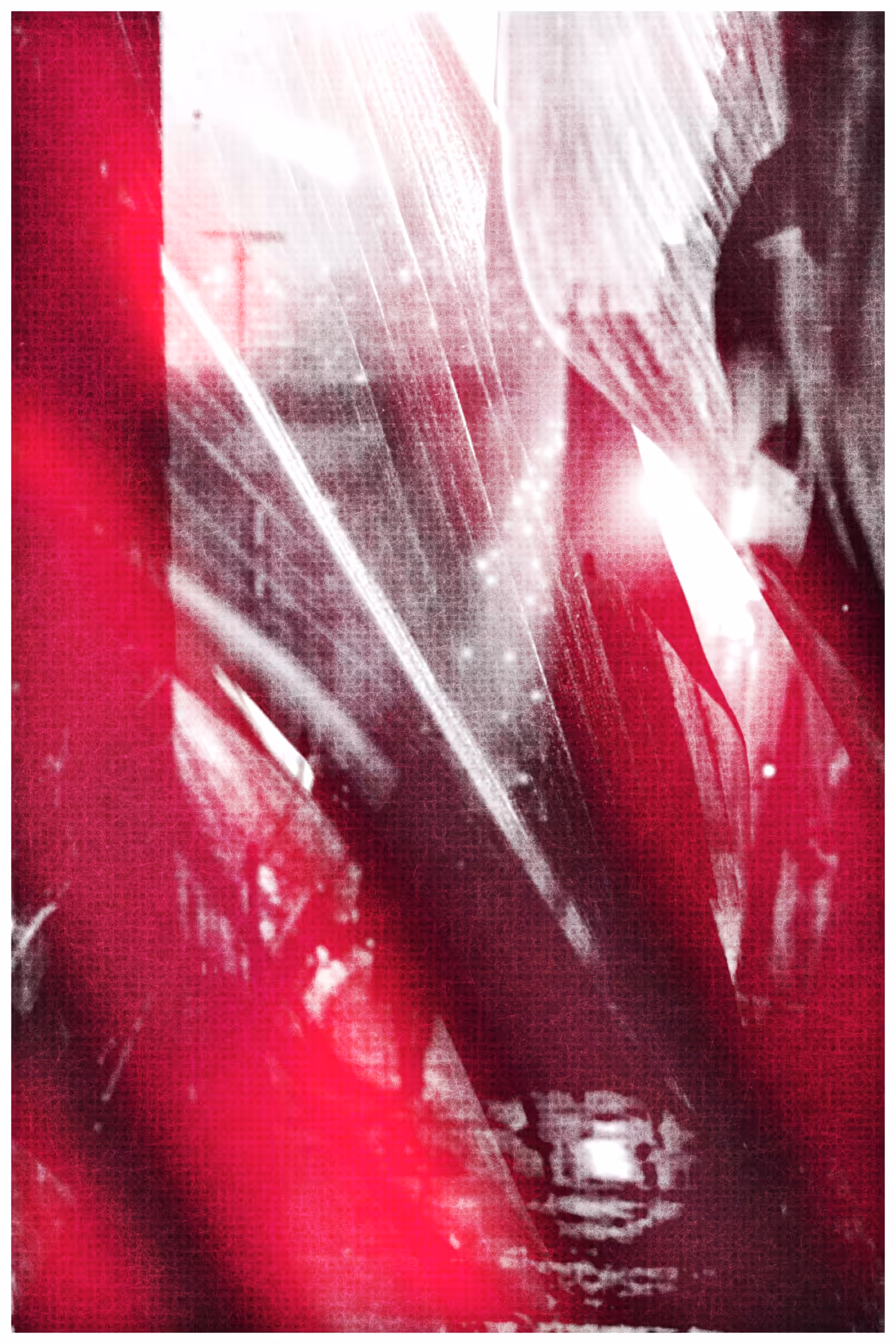 ANIMA #21