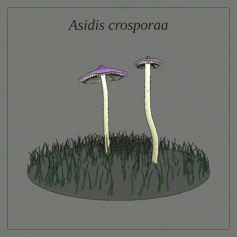 SHROOMS 3D #41