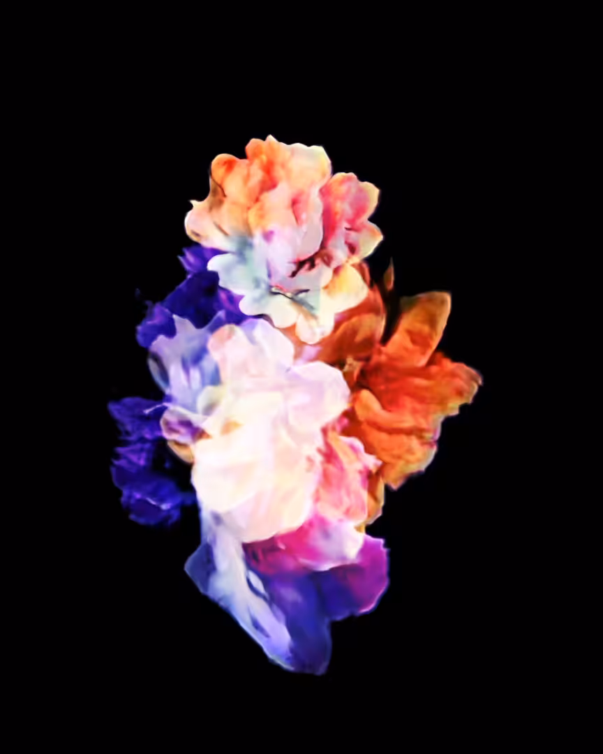 Bloom 03