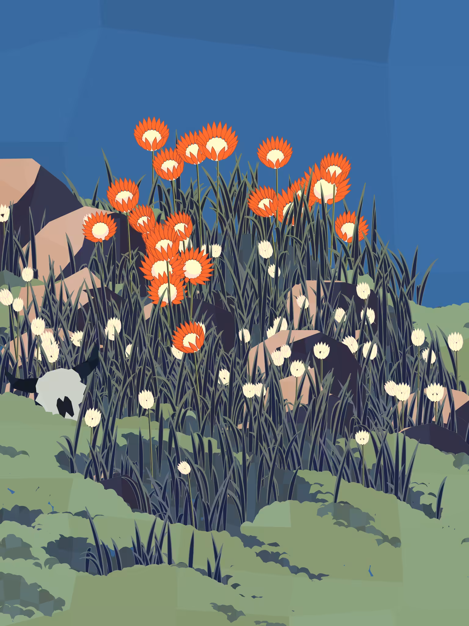 Frontier #29